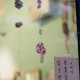 用户名：lyn***