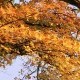 用户名：甜***