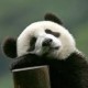 用户名：hap***