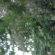 用户名：and***