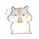 用户名：Rui***