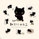 用户名：cat***