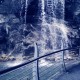 用户名：莉***